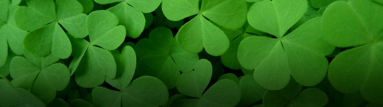 St. Patrick's Day