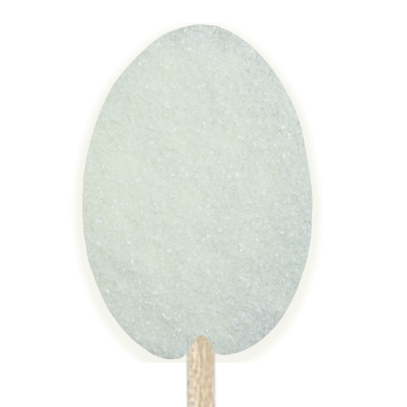 Coconut Sugar Coffee Spoons