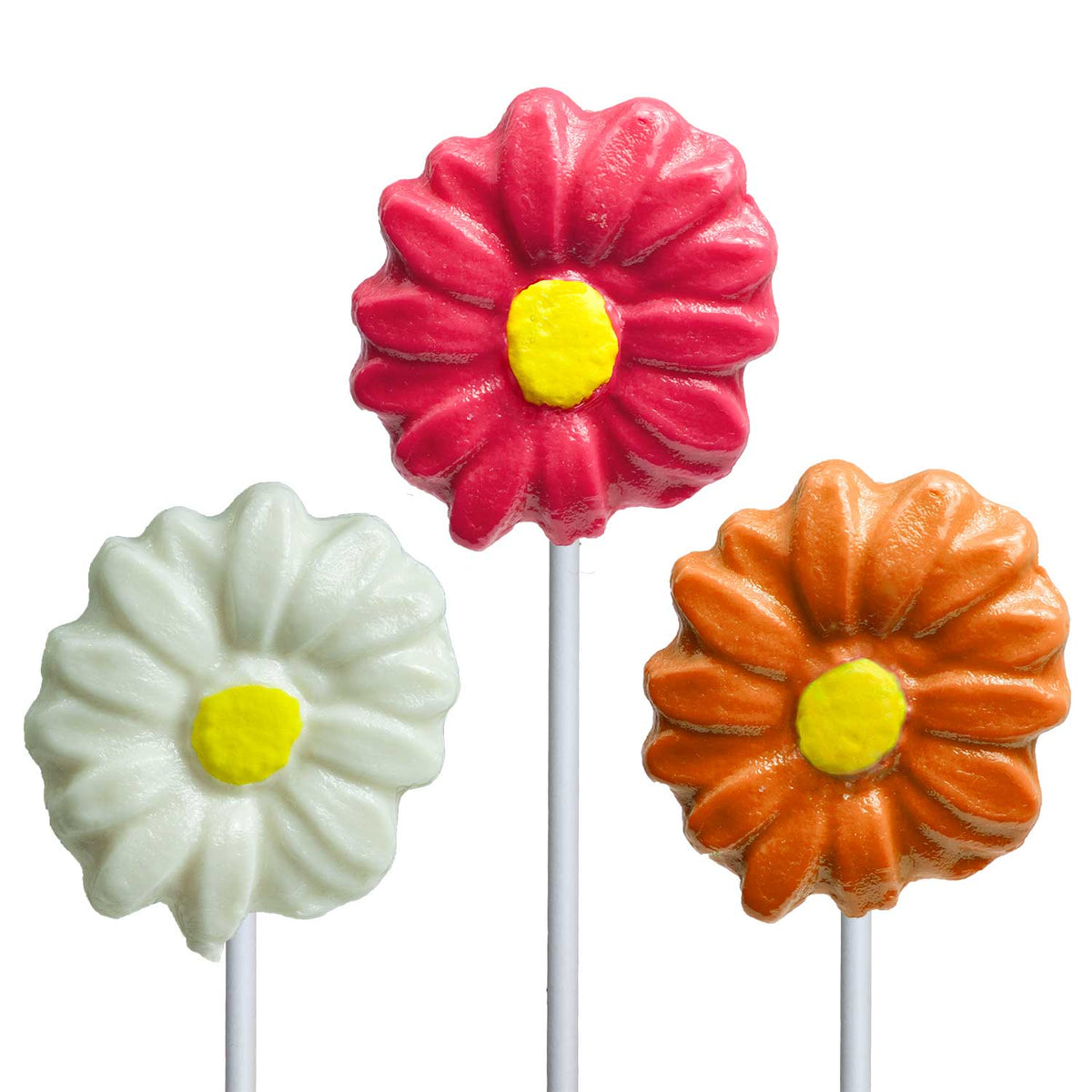 Fancy Daisy Lollipops - Assorted (24ct)