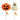 Jack-O-Lantern & Ghost Halloween Lollipops - Assorted