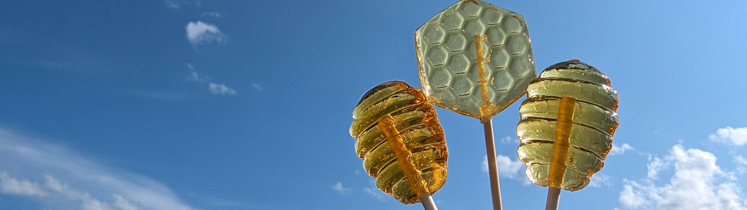 Honey Lollipops