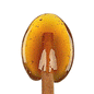 Honey Spoons - Bulk