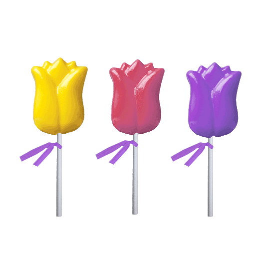 Tulip Flower Lollipops - Assorted