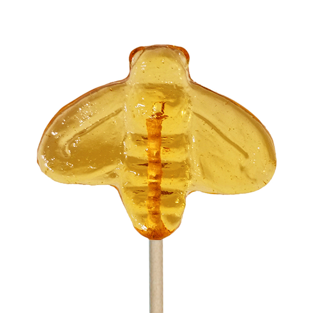 【送料込】HTQ CloverHoney 1kg蜂蜜ルカプリス ホリステティック HoneyKissa