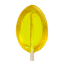 Honey Spoons - Bulk