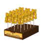 Sugar Bear Honey Lollipops