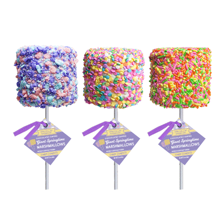 Giant Marshmallow Pops - Spring Assorted by Melville Candy Company